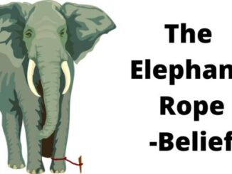 the Elephant Rope - Belief